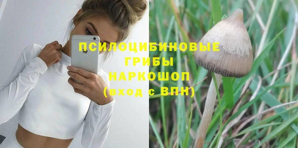 метадон Алексеевка
