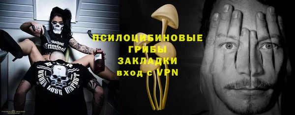 дурь Алзамай