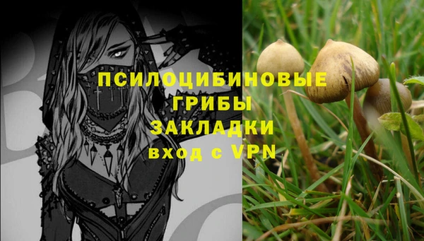 дурь Алзамай