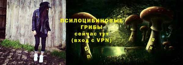 дурь Алзамай