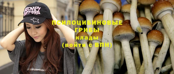 дурь Алзамай