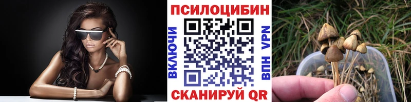 гидра зеркало  купить  цена  Бабаево  Псилоцибиновые грибы Cubensis 